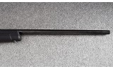 Savage ~ A22 ~ .22 WMR - 10 of 12