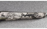 Tikka ~ T3X ~ .300 Winchester Magnum - 3 of 11