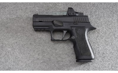 Sig Sauer ~ P320 ~ 9mm Luger