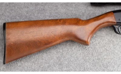 Remington ~ 572 FieldMaster ~ .22 S, L , LR