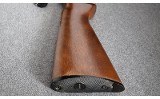 Remington ~ 572 FieldMaster ~ .22 S, L , LR - 9 of 12