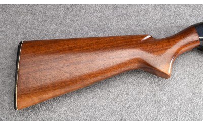 Winchester ~ Model 12 ~ 12 Gauge