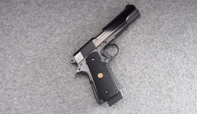 Auto Ordnance ~ 1911 ~ 10mm Auto