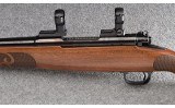 Winchester ~ Model 70 ~ .243 Winchester - 6 of 12