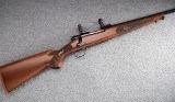 Winchester ~ Model 70 ~ .243 Winchester