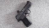 SIG SAUER ~ P365 ~ 9mm Luger - 1 of 4