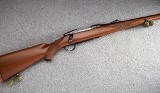 Ruger ~ M77 ~ .243 Winchester