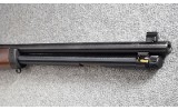 Henry ~ Big Boy ~ .327 Federal / .32 H&R Magnum - 12 of 12