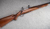Ruger ~ M77 ~ .250 Savage