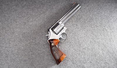 Smith & Wesson ~ 686 ~ .357 Magnum