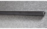 Remington ~ 700 ~ .300 Winchester Magnum - 12 of 12