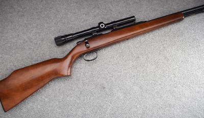 Remington ~ 582 ~ .22 S, L, LR