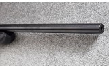 Tikka ~ T3 ~ .204 Ruger - 12 of 12