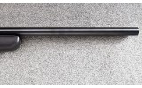 Tikka ~ T3 ~ .204 Ruger - 11 of 12