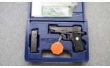Colt ~ Government ~ .380 ACP - 3 of 3
