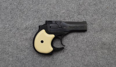 High Standard ~ Derringer ~ .22 WMR - Image 1 of 3