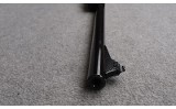 Remington ~ 700 ~ 7mm Remington Magnum - 11 of 11