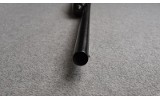 Winchester ~ 50 ~ 20 Gauge - 11 of 11