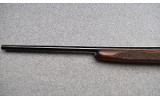 Winchester ~ 50 ~ 20 Gauge - 7 of 11