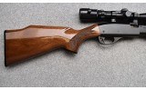 Remington ~ 572 ~ .22 Short, Long, Long Rifle - 2 of 11