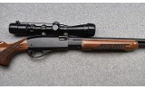 Remington ~ 572 ~ .22 Short, Long, Long Rifle - 3 of 11