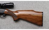 Remington ~ 572 ~ .22 Short, Long, Long Rifle - 5 of 11