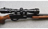Remington ~ 572 ~ .22 Short, Long, Long Rifle - 9 of 11
