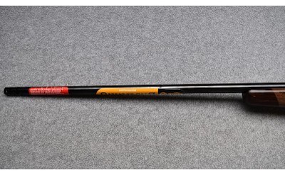 Browning ~ X-Bolt ~ 7mm Remington Magnum - Image 7 of 11