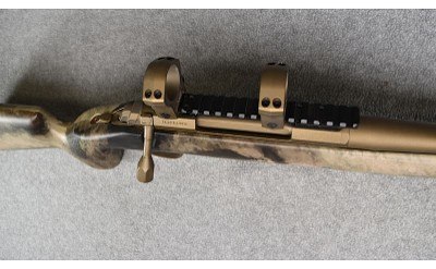 Browning ~ X-Bolt ~ .300 Winchester Magnum - Image 9 of 11