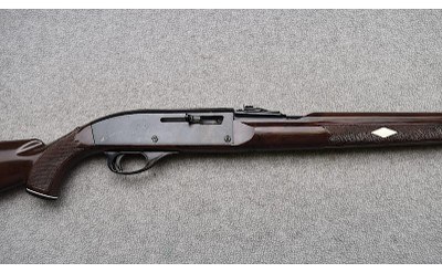 Remington ~ Nylon 66 ~ .22 Long Rifle - Image 3 of 11