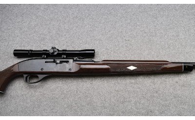 Remington ~ Nylon 66 ~ .22 Long Rifle - Image 3 of 11