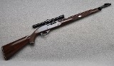 Remington ~ Nylon 66 ~ .22 Long Rifle