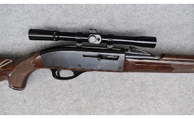 Remington ~ Nylon 66 ~ .22 Long Rifle - Image 9 of 11