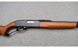Winchester ~ 250 ~ .22 Short, Long, and Long Rifle - 3 of 11