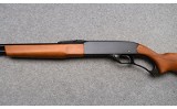 Winchester ~ 250 ~ .22 Short, Long, and Long Rifle - 6 of 11