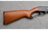 Winchester ~ 250 ~ .22 Short, Long, and Long Rifle - 2 of 11