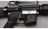 Bushmaster ~ XM15-E2S Limited Edition Twentieth Anniversary ~ 5.56 Nato - 9 of 11