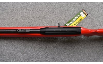 Remington ~ 597 "Dale Earnhardt Jr." ~ .22 Long Rifle - Image 9 of 11