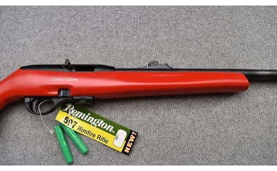 Remington ~ 597 "Dale Earnhardt Jr." ~ .22 Long Rifle - Image 3 of 11