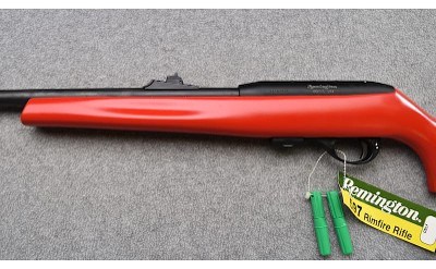 Remington ~ 597 "Dale Earnhardt Jr." ~ .22 Long Rifle - Image 6 of 11