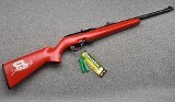 Remington ~ 597 "Dale Earnhardt Jr." ~ .22 Long Rifle