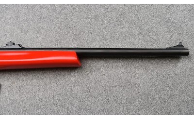 Remington ~ 597 "Dale Earnhardt Jr." ~ .22 Long Rifle - Image 4 of 11