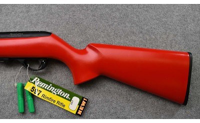 Remington ~ 597 "Dale Earnhardt Jr." ~ .22 Long Rifle - Image 5 of 11