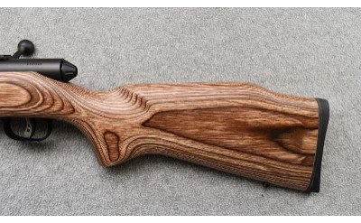 Savage ~ Model 25 ~ .17 Hornet - Image 5 of 11