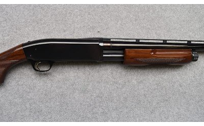 Browning ~ BPS ~ 12 Gauge - Image 3 of 11