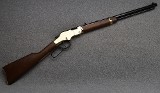 Henry ~ "Golden Boy" ~ 17 HMR - Image 1 of 11
