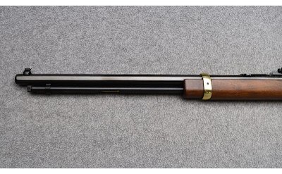 Henry ~ "Golden Boy" ~ 17 HMR - Image 7 of 11