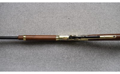 Henry ~ "Golden Boy" ~ 17 HMR - Image 8 of 11