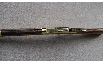 Henry ~ "Golden Boy" ~ 17 HMR - Image 9 of 11