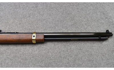 Henry ~ "Golden Boy" ~ 17 HMR - Image 4 of 11